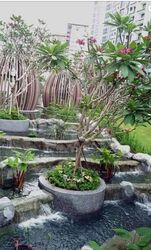 Bartley Ridge (D13), Condominium #633417321
